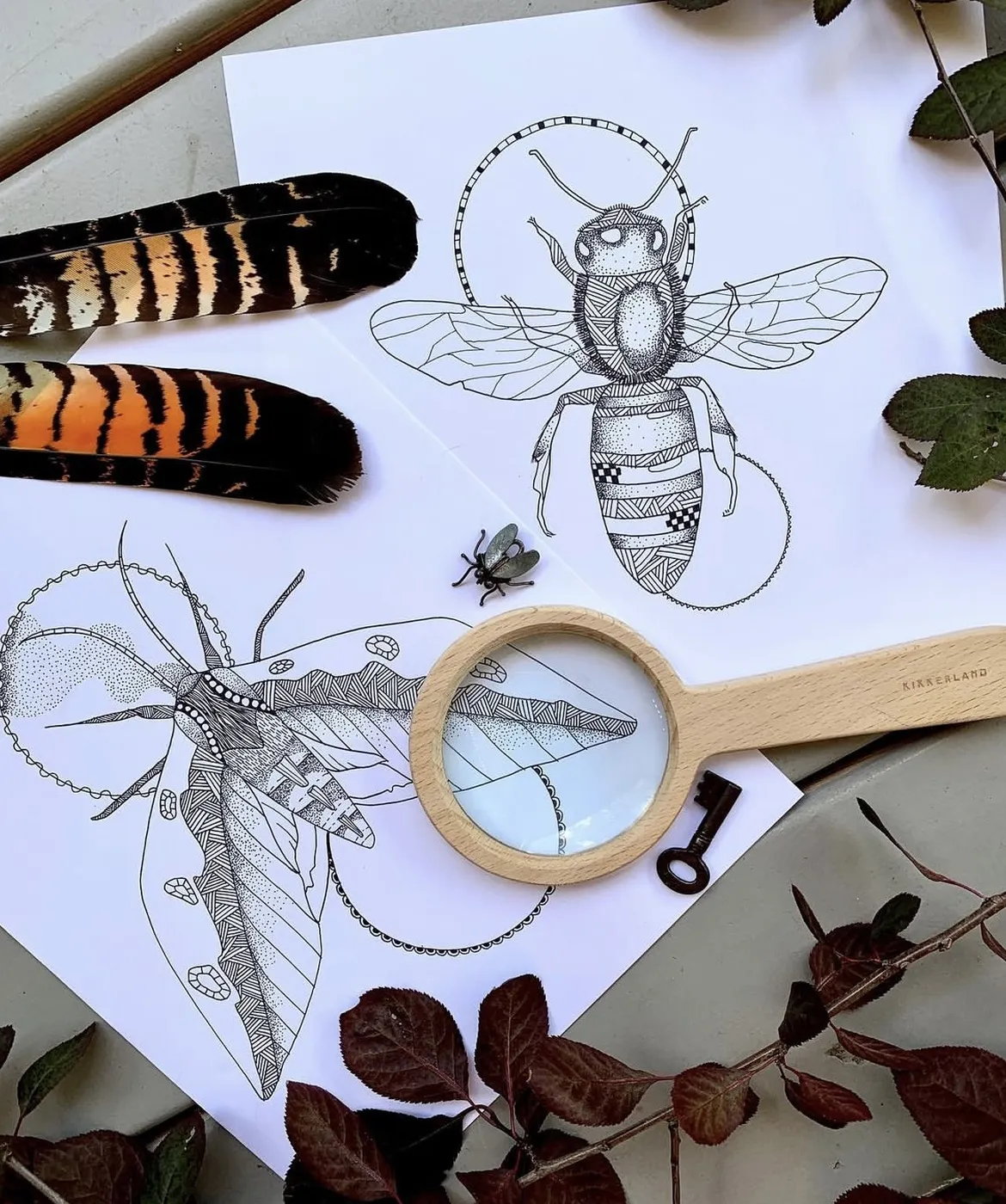 Additional artwork from Walking in the Wild