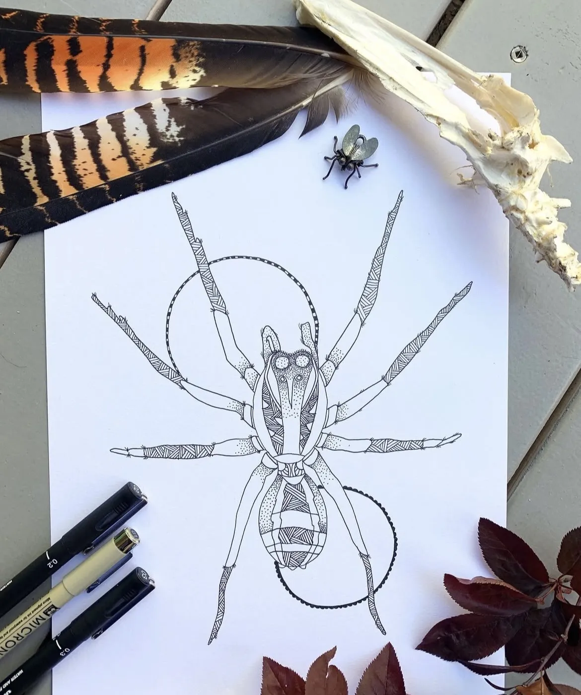 Additional artwork from Walking in the Wild